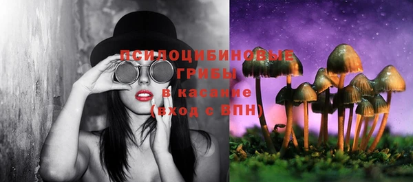 кокаин Богданович